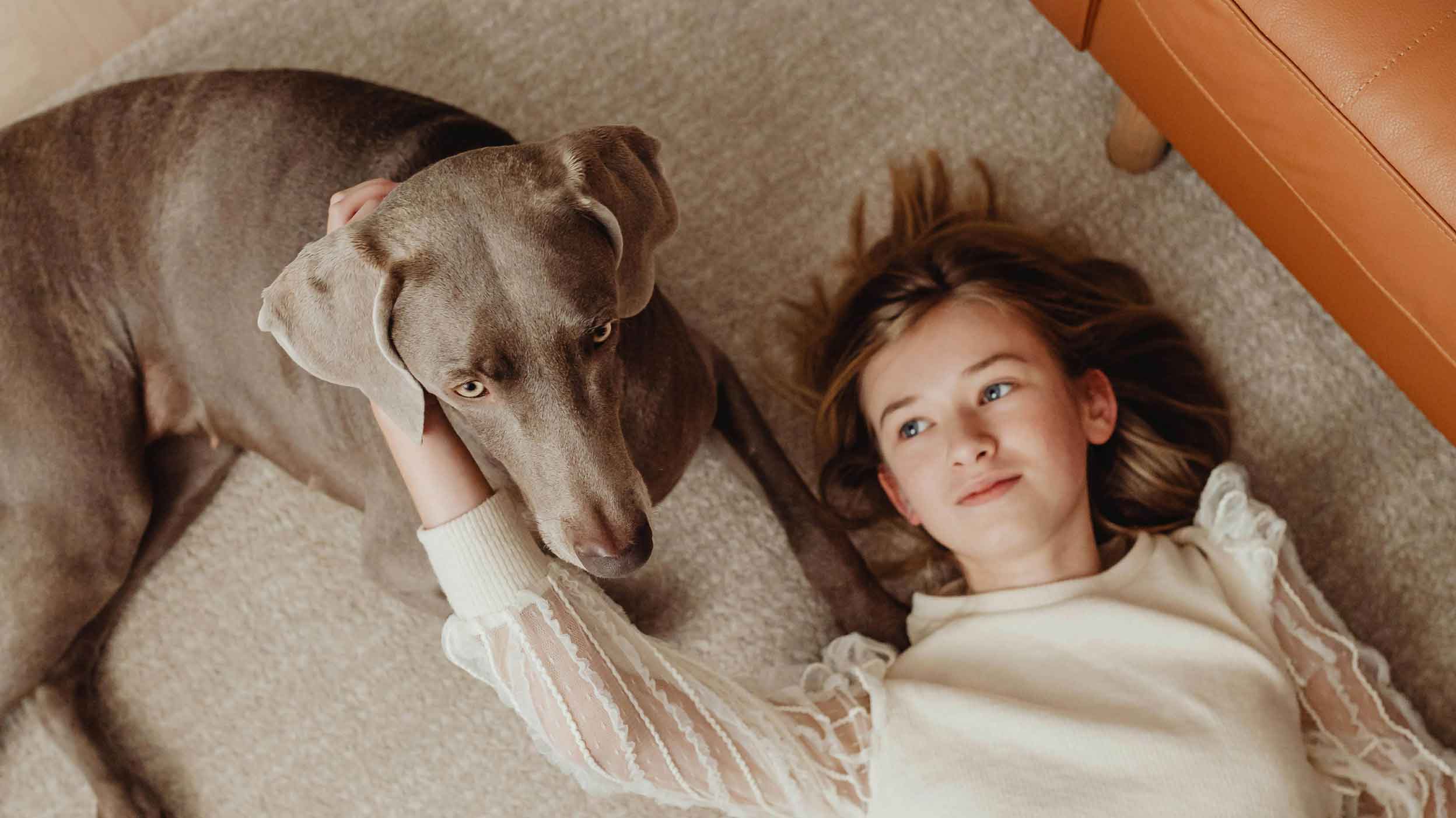 Pet Dander