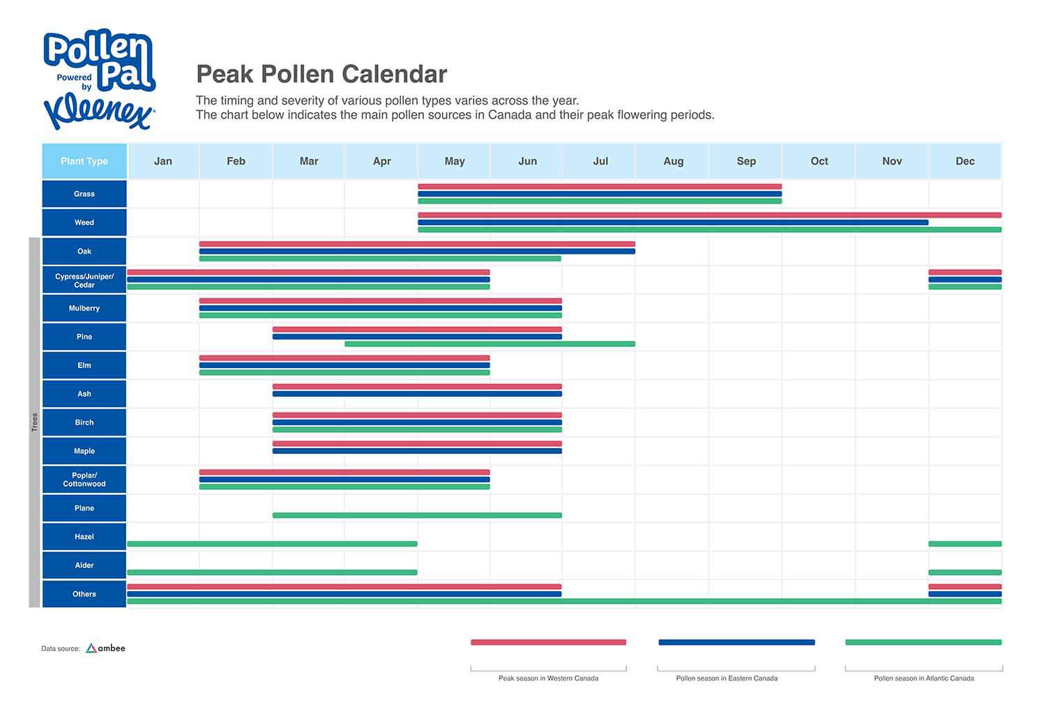 Pollen Calendar Types of Pollen by Month Kleenex Canada